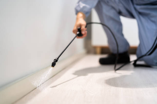 Bed Bug Pre-Treatment Preparation Assessment in Jamestown
